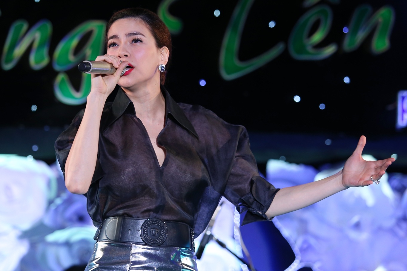 Ha Ho, Mr.Dam day dut khi hat nhac tinh hinh anh