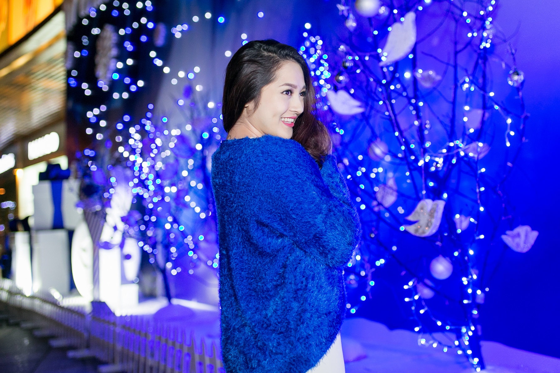 Nhập mô tả cho ảnsh