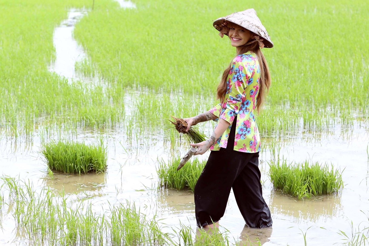 Nhập mô tả cho z