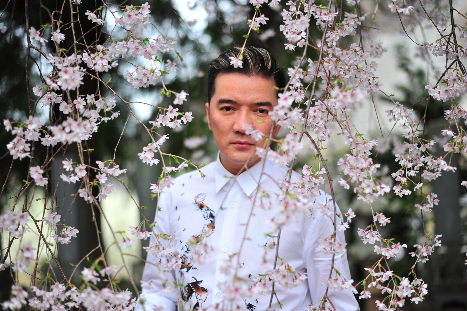 Tam Su Nang Xuan - Dam Vinh Hung hinh anh