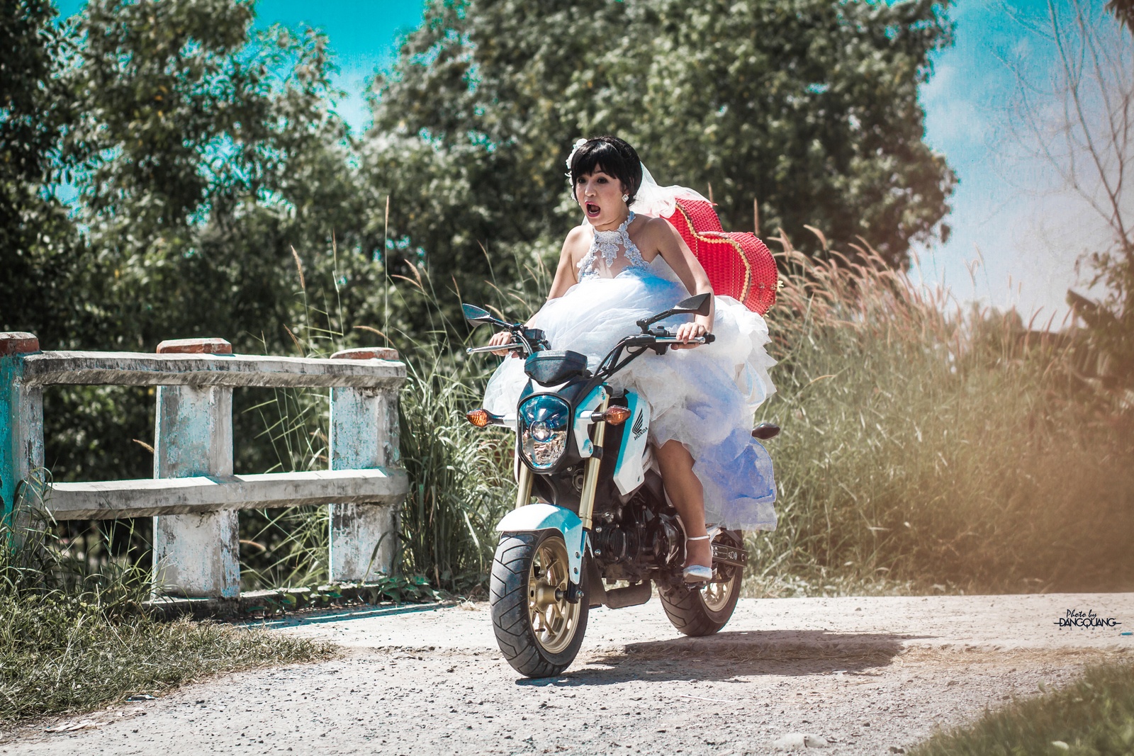 DVD Cô dâu đại náo của Thúy Nga ảnh 2 DVD Co dau dai nao cua Thuy Nga anh 2