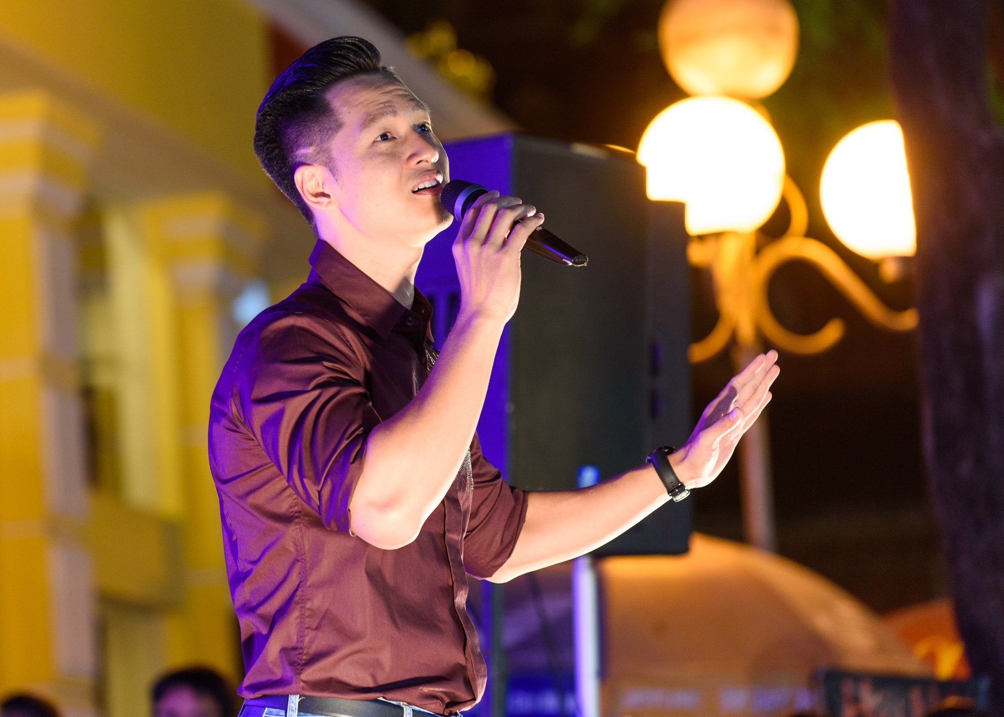 dem nhac tuong nho nhac si Trinh Cong Son anh 3