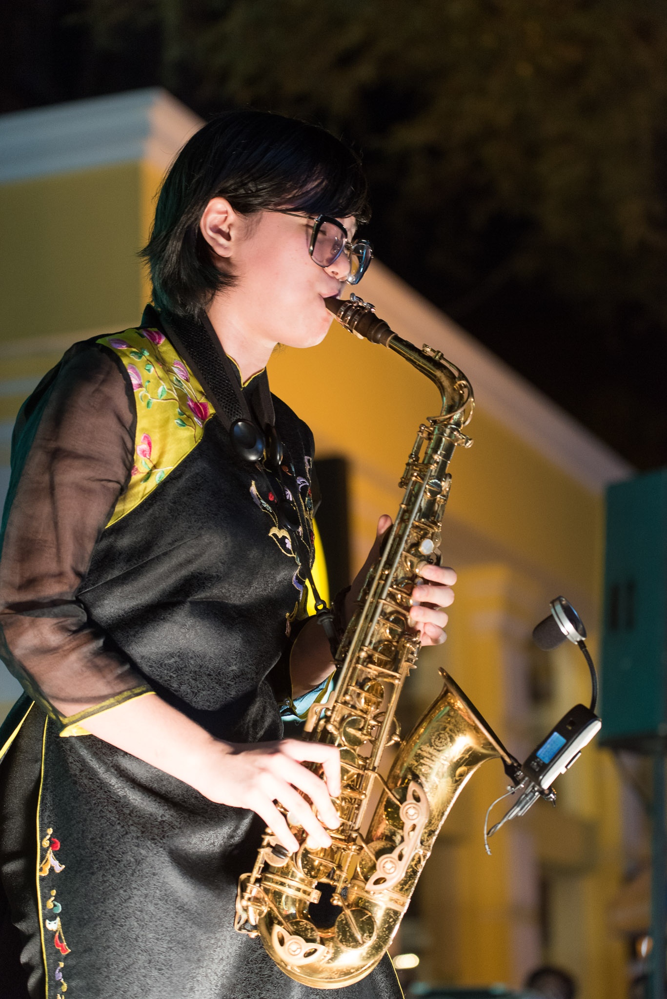 dem nhac tuong nho nhac si Trinh Cong Son anh 5