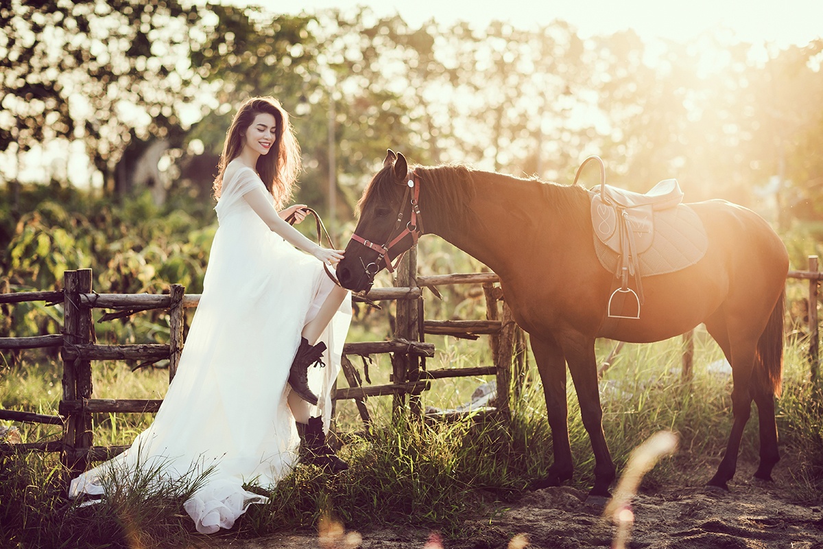 Dem nhac Ho Ngoc Ha anh 2