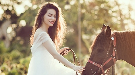 Ho Ngoc Ha to chuc dem nhac tinh ca hinh anh