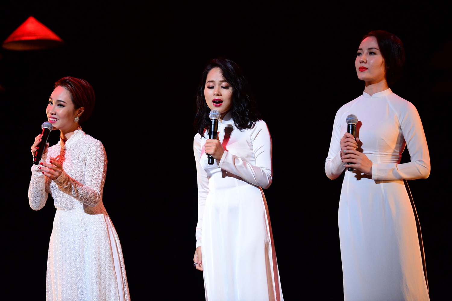 Nghe si Viet tham gia Cau chuyen hoa binh o Nhat anh 3