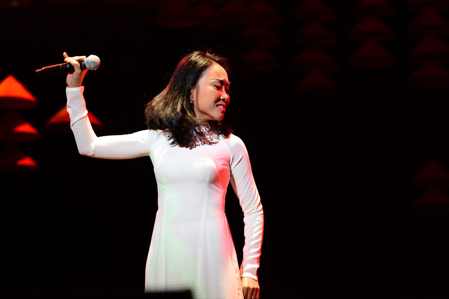 Nghe si Viet tham gia Cau chuyen hoa binh o Nhat anh 5