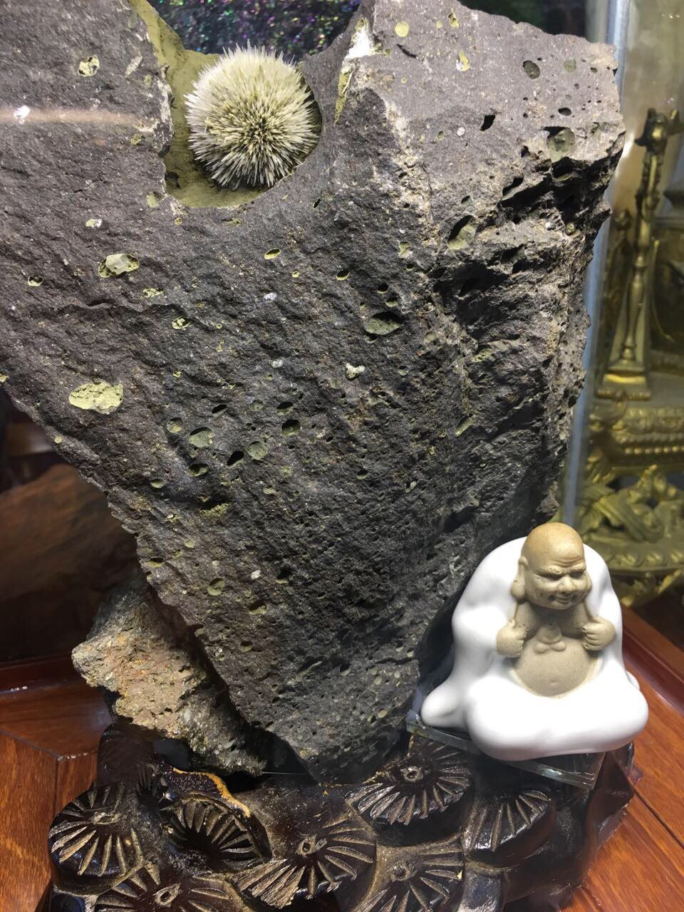 Ngo Thanh Van dau gia hoa uu dam anh 1