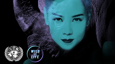 Thu Minh va Ly Bang Bang tham gia chien dich Lien Hop Quoc hinh anh