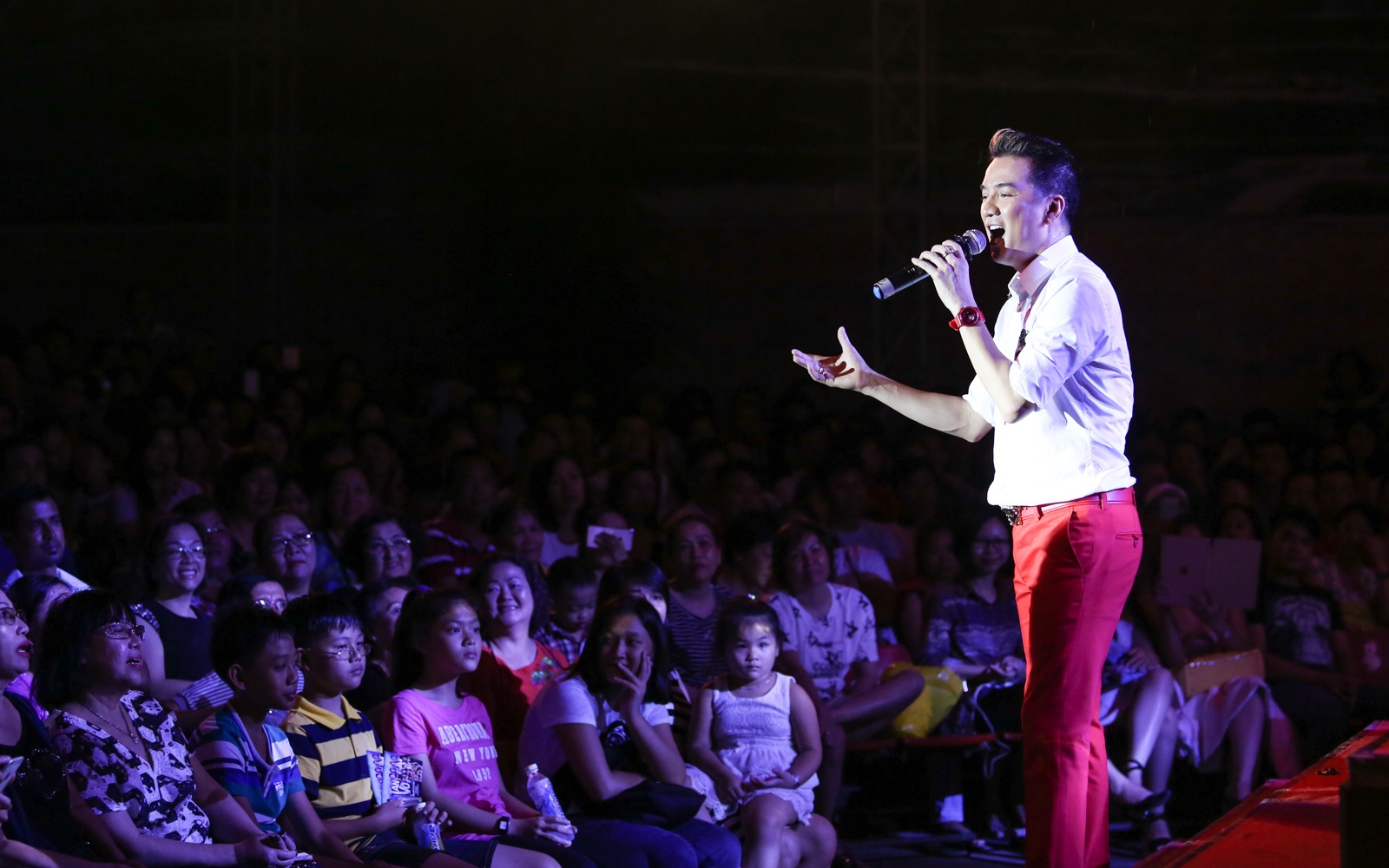 Dem nhac Tan vo cua Dam Vinh Hung anh 2