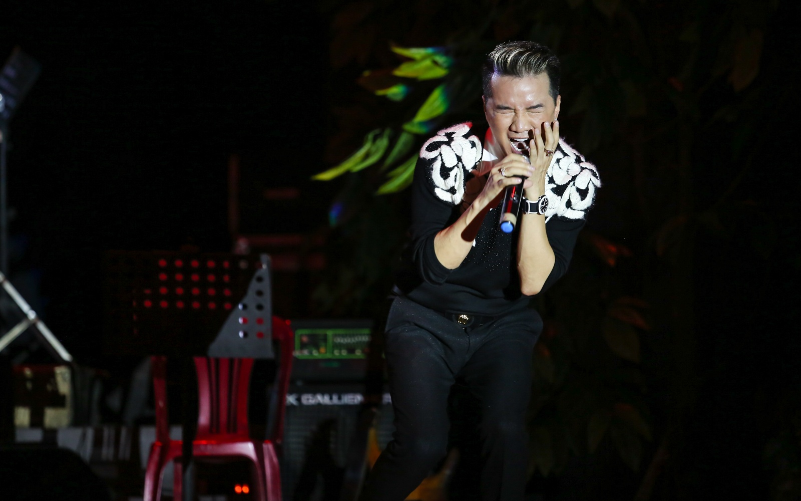 Dem nhac Tan vo cua Dam Vinh Hung anh 3