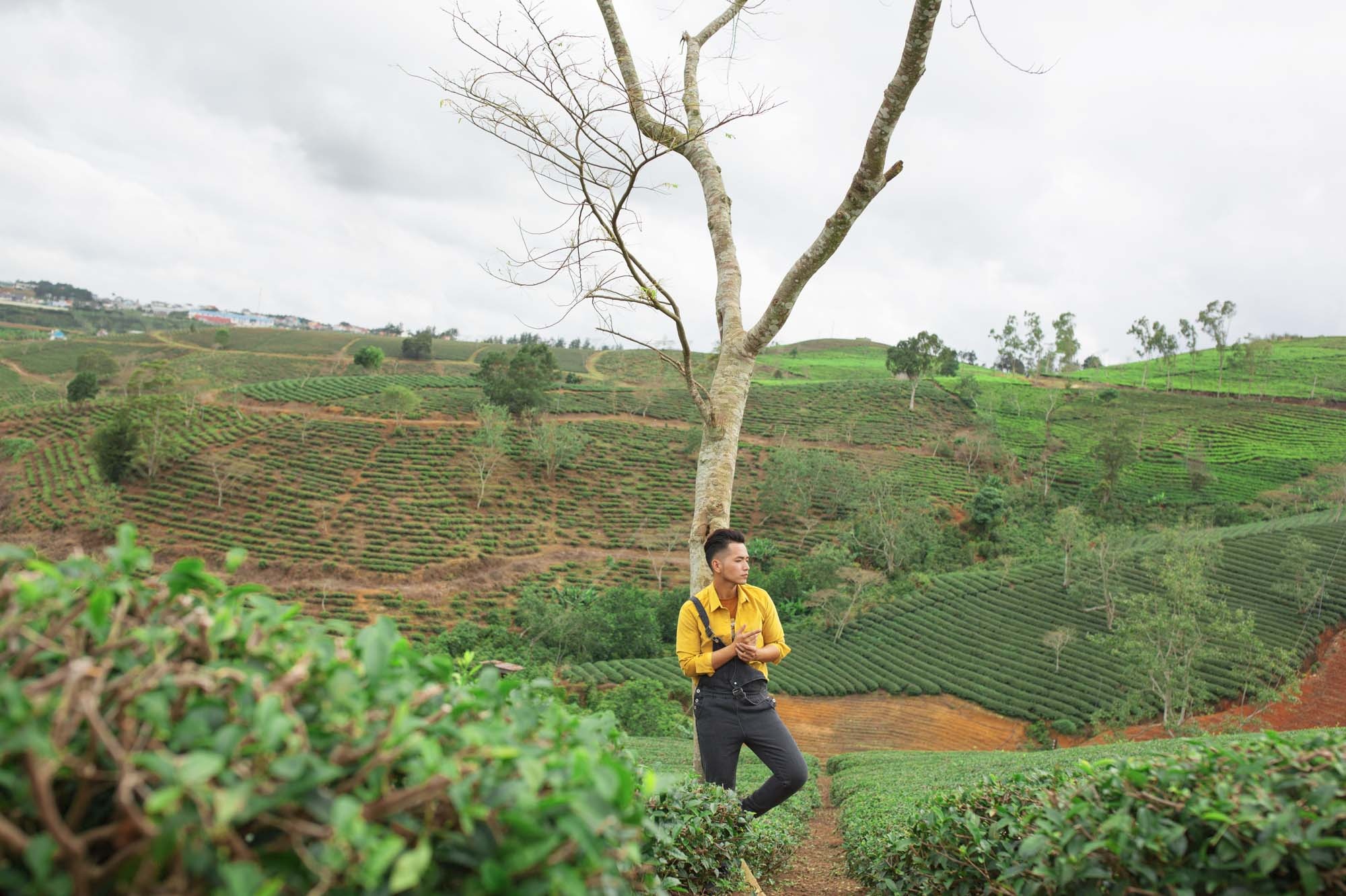 Viet Nam, Di, Hon Va Yeu - Pham Hong Phuoc hinh anh