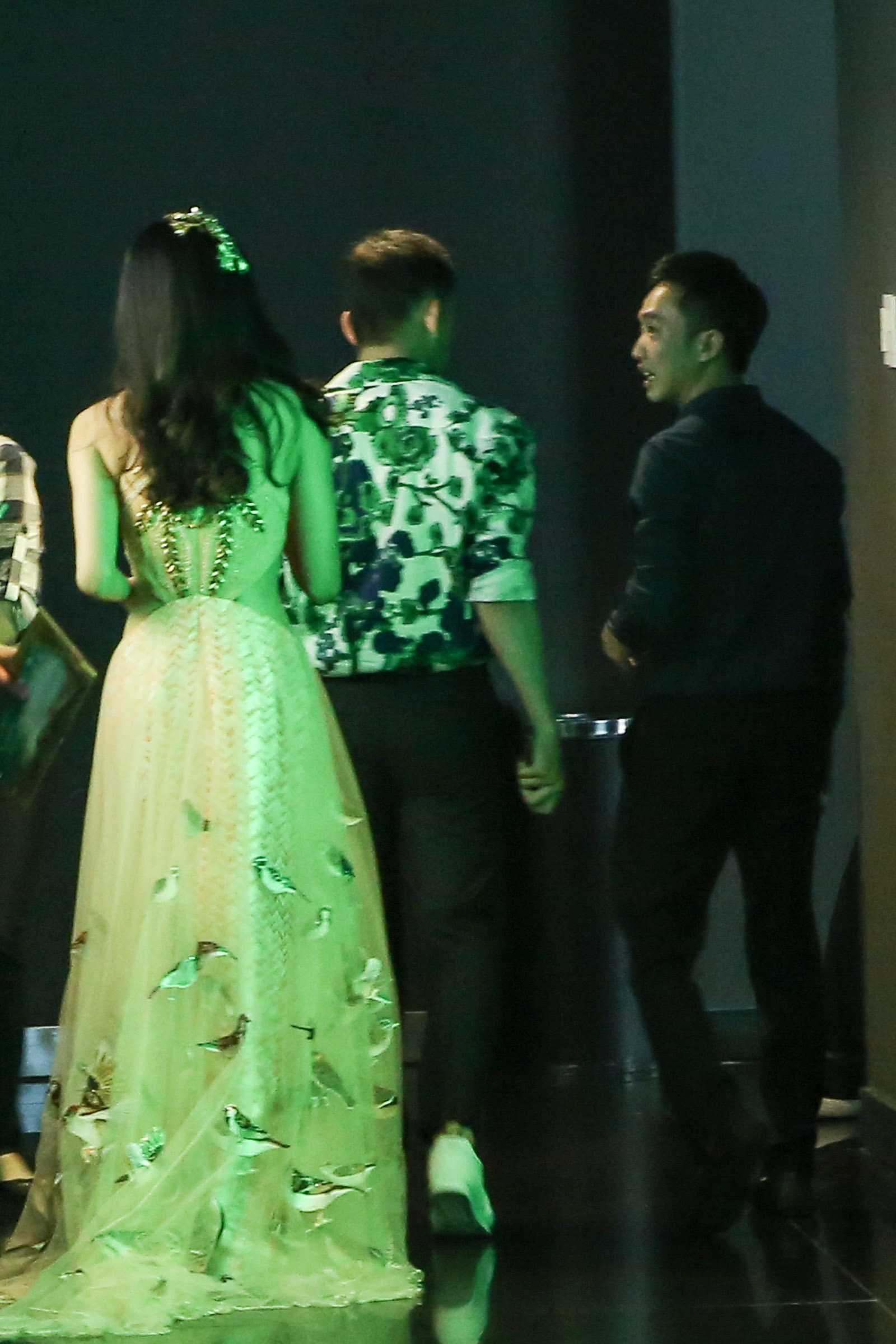 Cuong Do La den ung ho Ha Vi anh 4