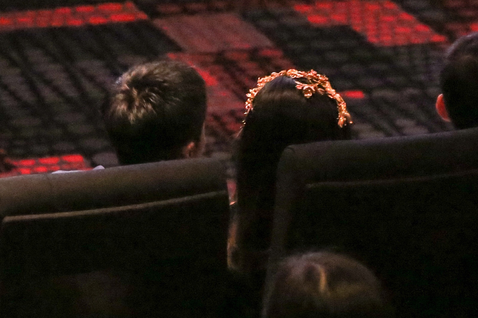 Cuong Do La den ung ho Ha Vi anh 5