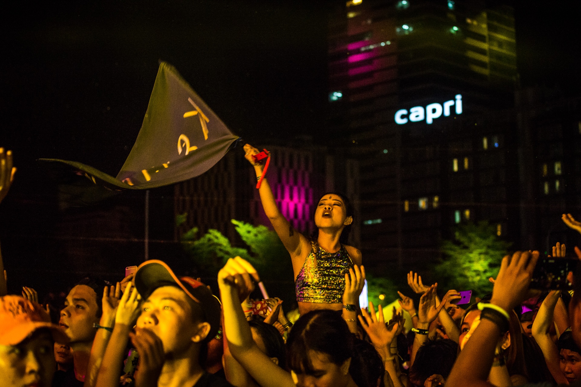 Alan Walker trinh dien tai TP.HCM anh 7