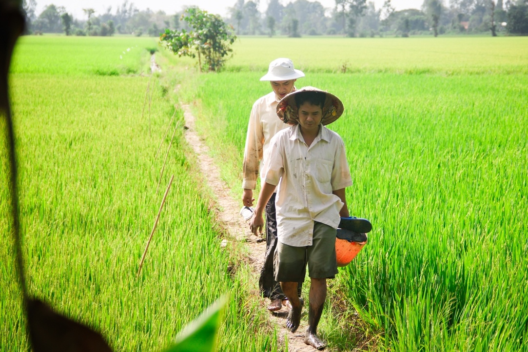 Minh Luan ru Hung Thuan ve que an Tet anh 3
