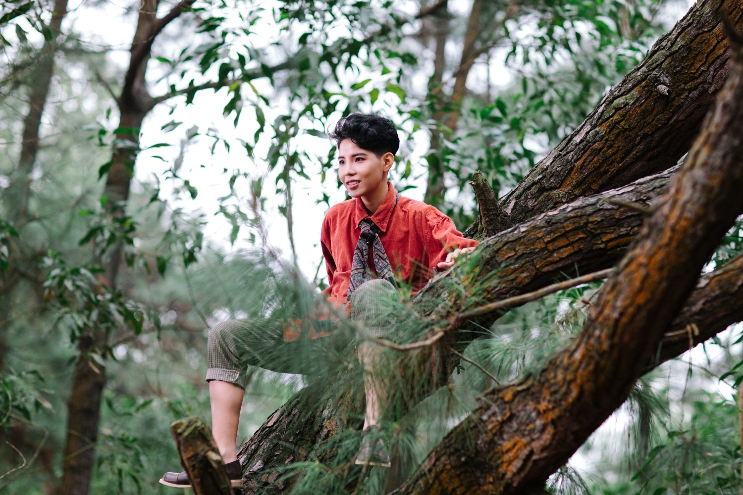 Vũ Cát Tường làm huấn luyện viên The Voice Kids ảnh 2 Vu Cat Tuong lam huan luyen vien The Voice Kids anh 2