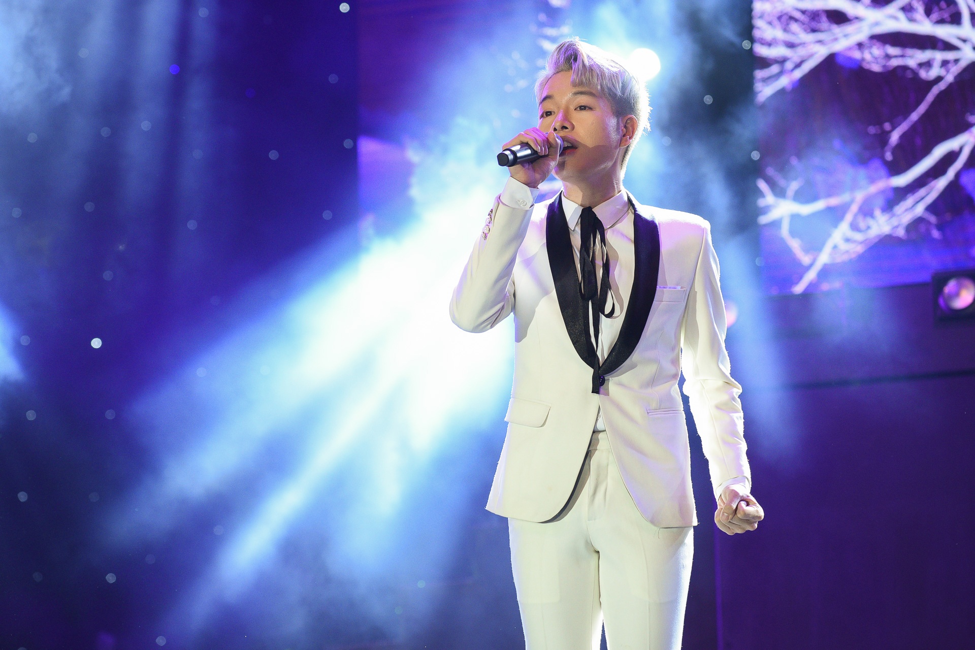 Dem nhac ky niem Lan Song Xanh o pho di bo anh 8