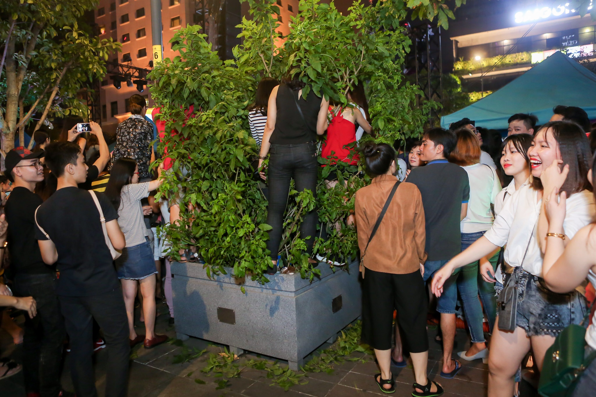 Mỹ Tâm biểu diễn ở phố đi bộ Nguyễn Huệ ảnh 8 My Tam bieu dien o pho di bo Nguyen Hue anh 8