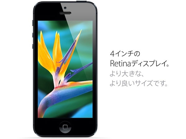 iPhone 6, iPad 12,9 inch va iWatch dung man hinh AMOLED hinh anh