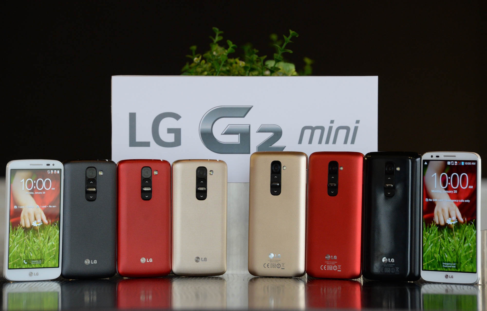 LG G2 mini len ke tai chau Au, gia 350 euro hinh anh