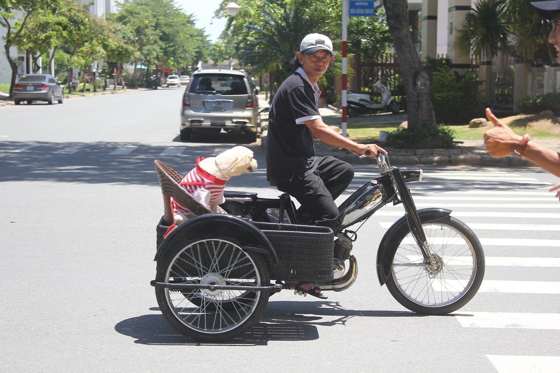 Sáng 23/6, một chiếc Mobylette được độ theo kiểu sidecar đã xuất hiện tại khu đô thị Phú Mỹ Hưng, quận 7, TP HCM. Chiếc xe gây chú ý cho rất nhiều người đi đường bởi kiểu dáng lạ lẫm, và điều đặc biệt, hành khách đi cùng là chú chó trắng được mặc áo chống nắng rất dễ thương.