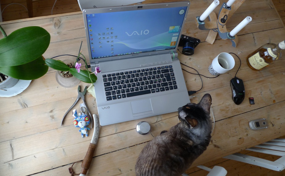 Fan Viet nuoi tiec Sony Vaio va mong gia se re hon hinh anh
