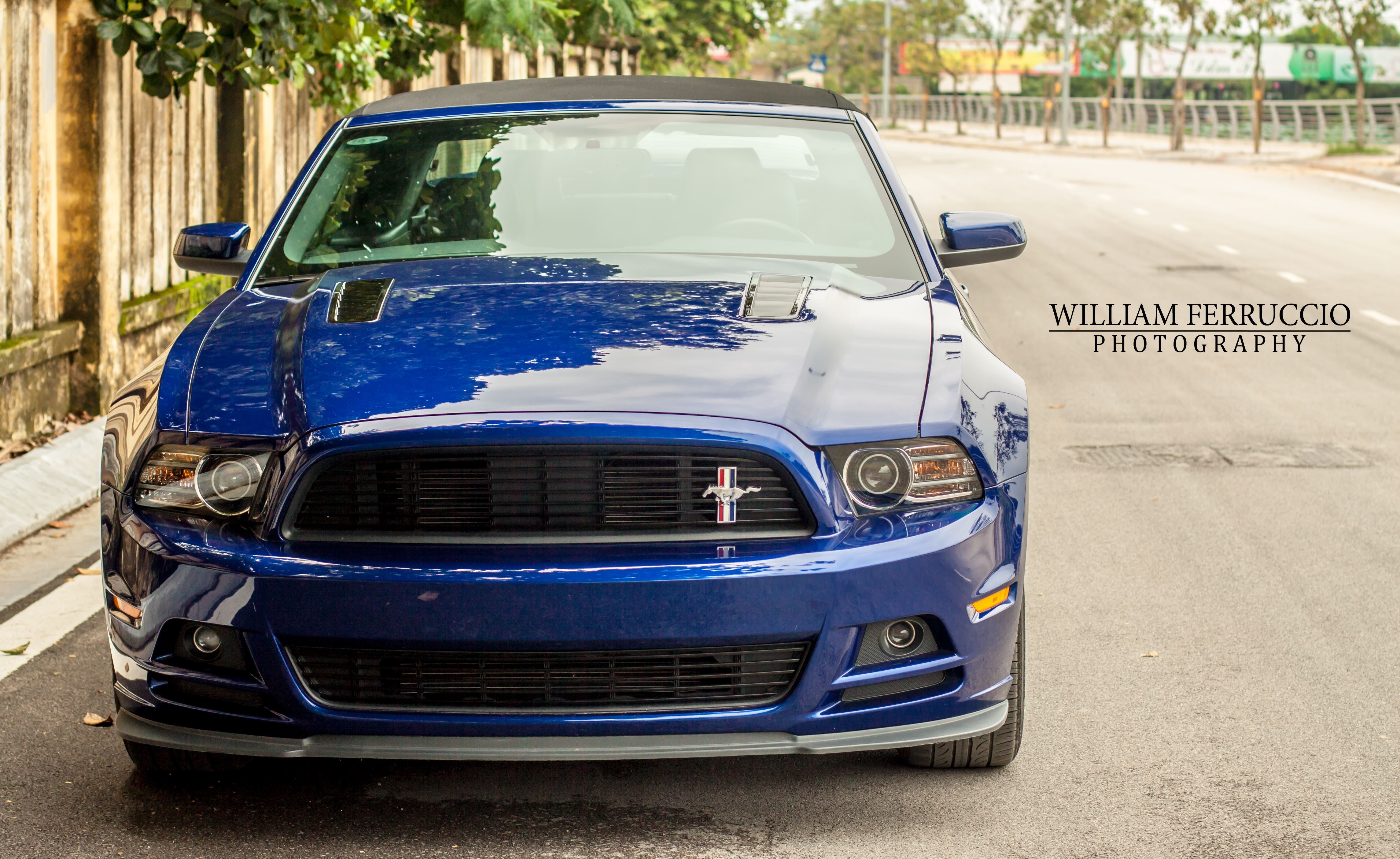 Chi tiet Mustang mui tran doc nhat tai Ha Noi hinh anh