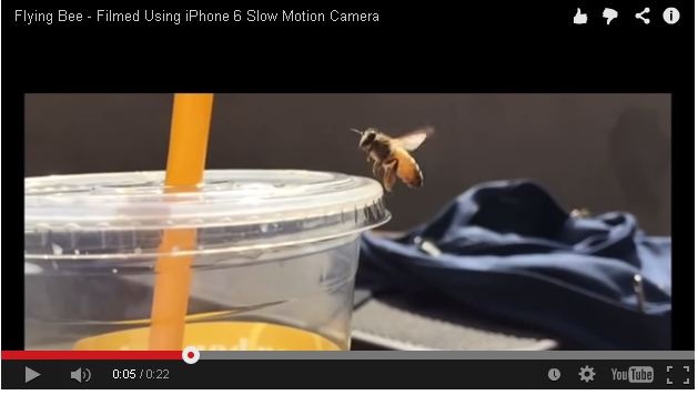 Chu ong ben ly nuoc hinh anh