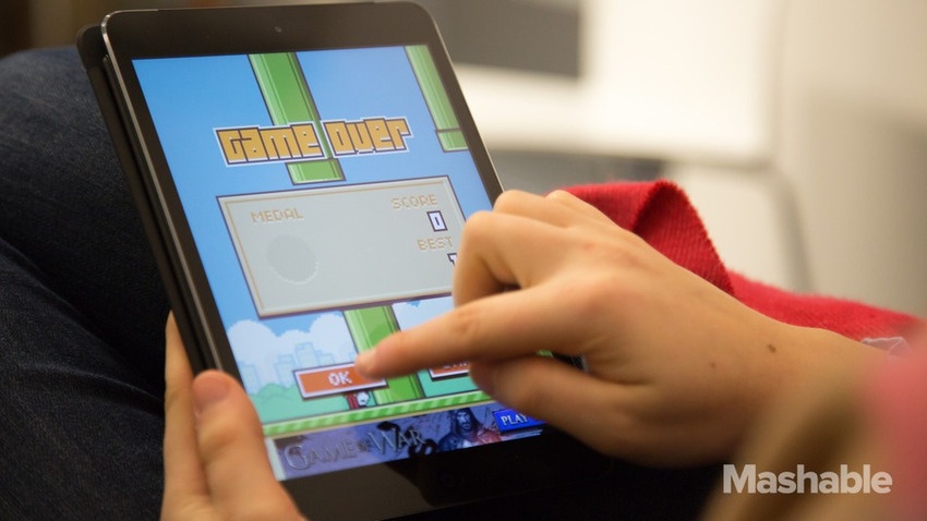 Có vẻ như chú chim đã tìm được con đường mới của mình.