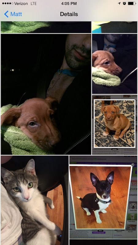 Xem toàn bộ ảnh trong tin nhắn, chỉ cần vào cuộc trò chuyện của người cần xem, chạm vào Chi tiết ở góc phải trên cùng màn hình và kéo xuống. Tại đây, iPhone lưu lại toàn bộ hình ảnh gửi và nhận.