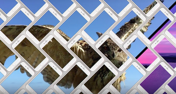 Apple khoe camera iPhone khac biet hinh anh