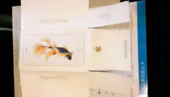 Hộp đựng được cho là của iPhone 6S Plus. Ảnh: cnBeta