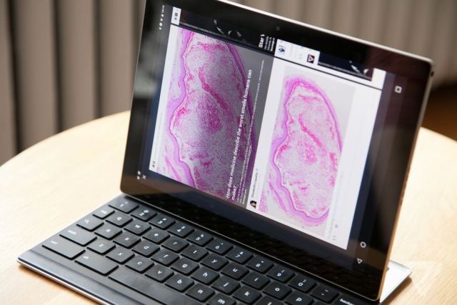 Pixel C chưa hoàn thiện về phần cứng.