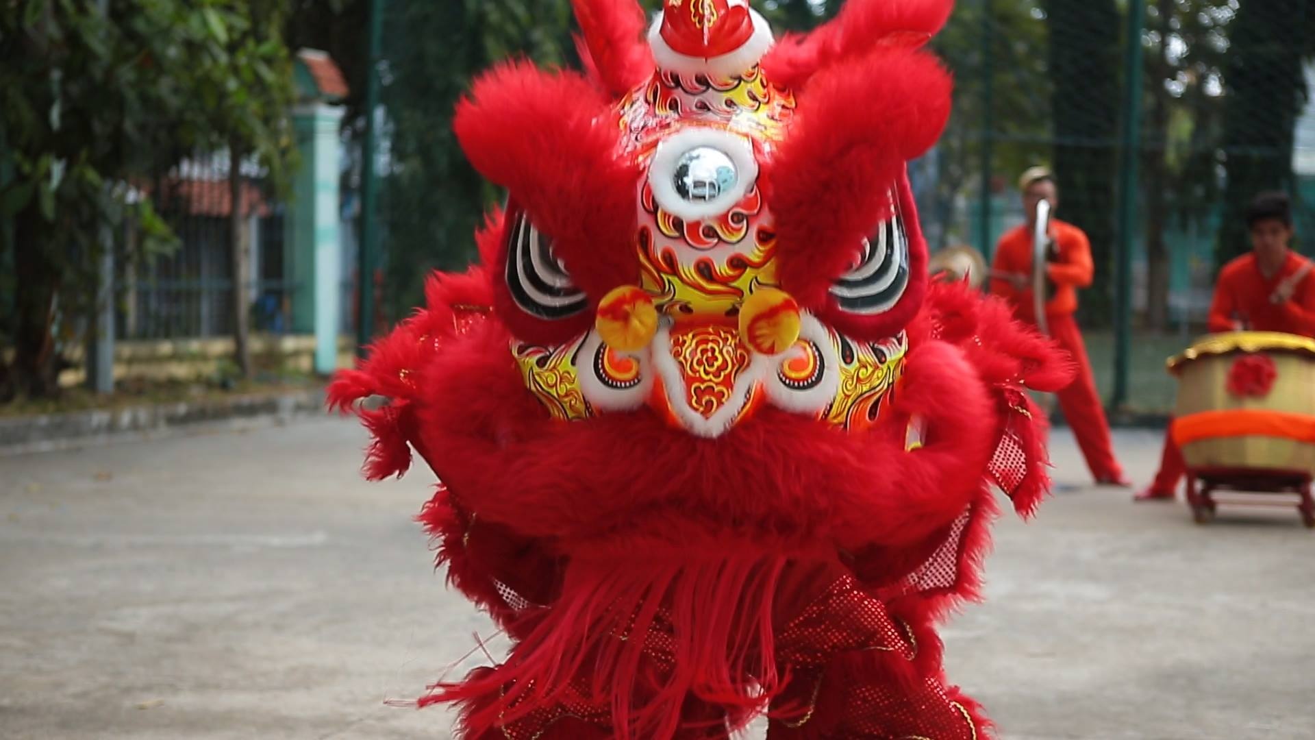 Mua lan truyen thong ngay Tet hinh anh