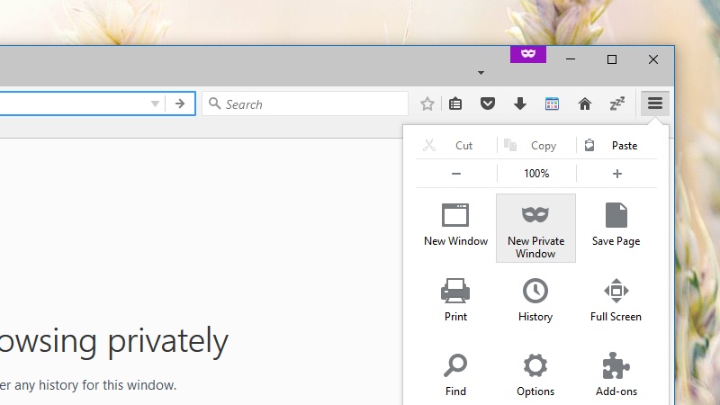 Trinh duyet an danh anh 3