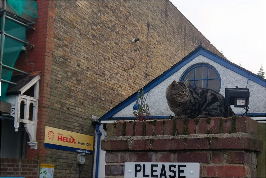 so sanh camera galaxy s7 vs htc 10 anh 10