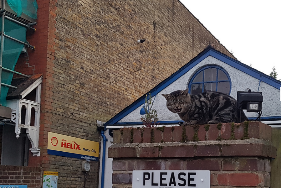 so sanh camera galaxy s7 vs htc 10 anh 9