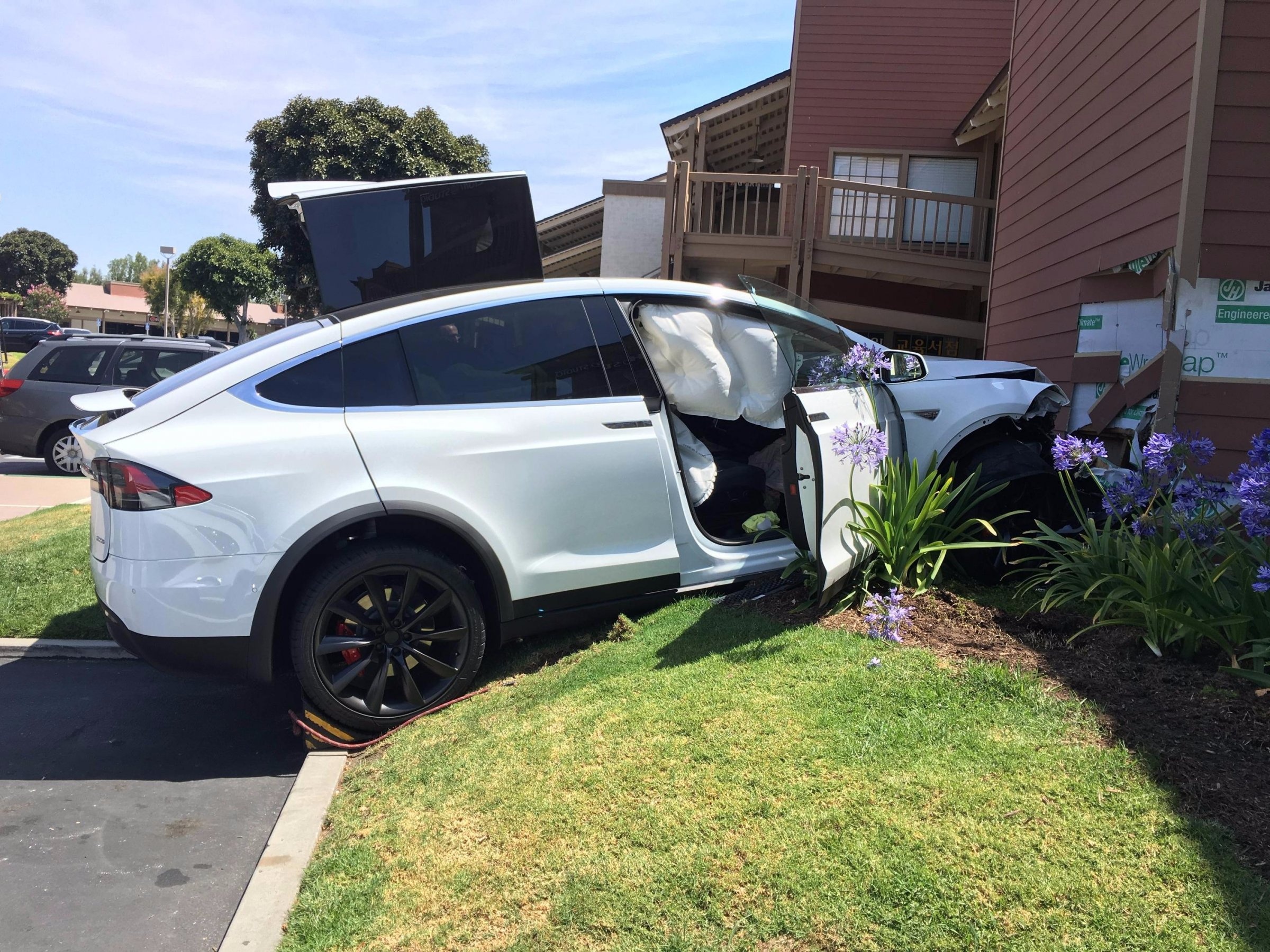 Gap nan voi Tesla Model X vi dap nham chan ga hinh anh