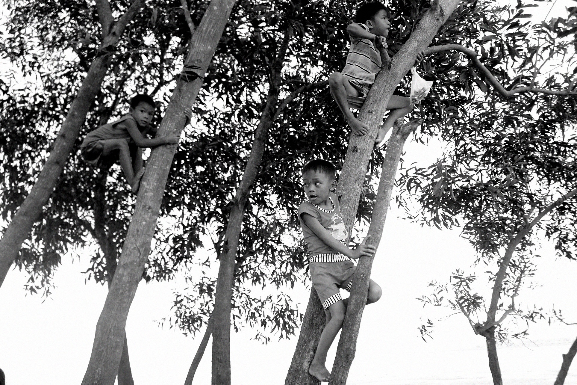 Xom Viet kieu Ta Do anh 11