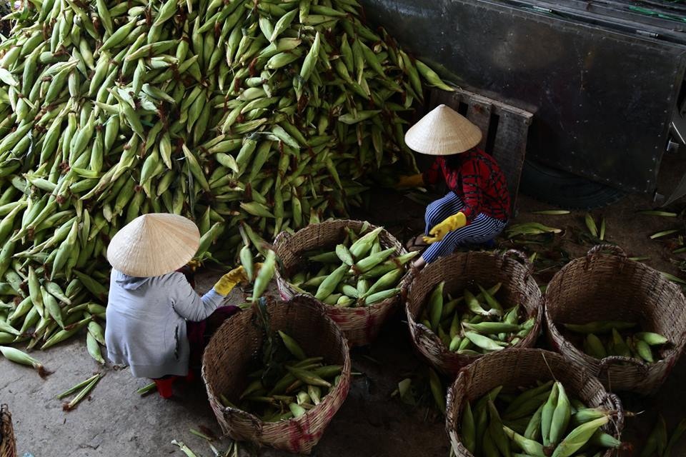 Anh Canon PhotoMarathon 2016 anh 15