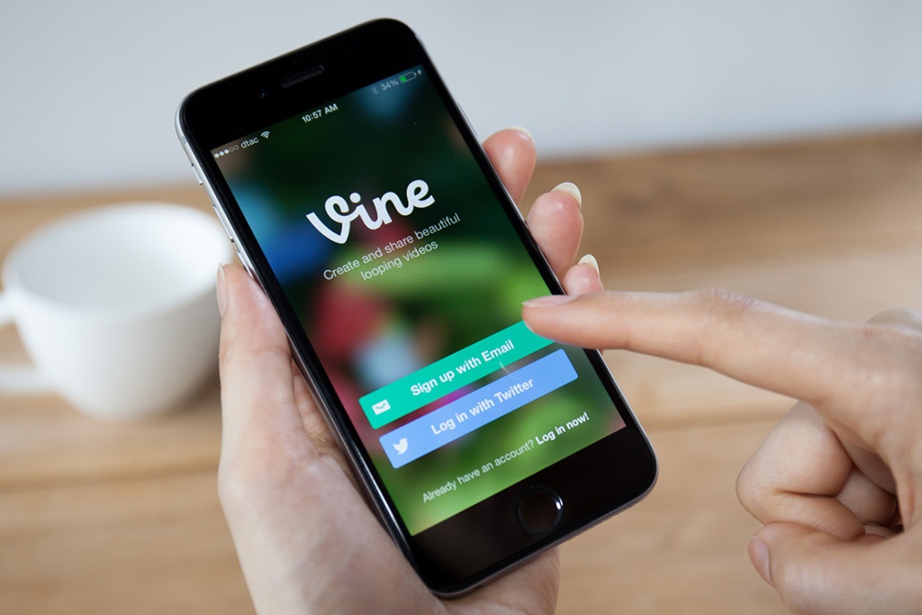 Vi sao Vine chet? hinh anh