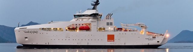 cá mập cắn cáp quang biển ảnh 2 ca map can cap quang bien anh 2