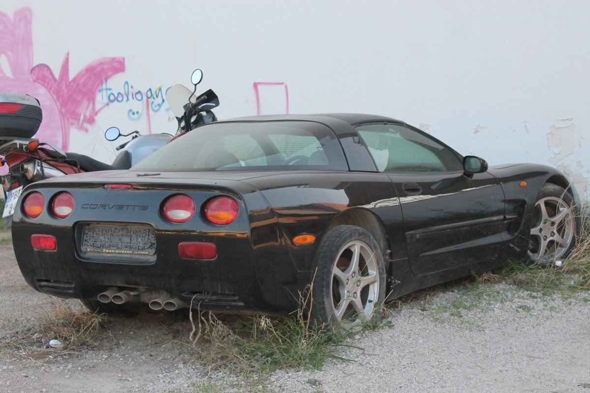 meo giup oto ben hon anh 6