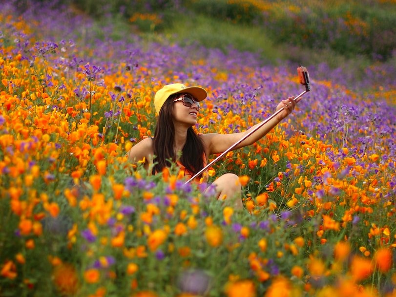 cong nghe thay the password anh 3