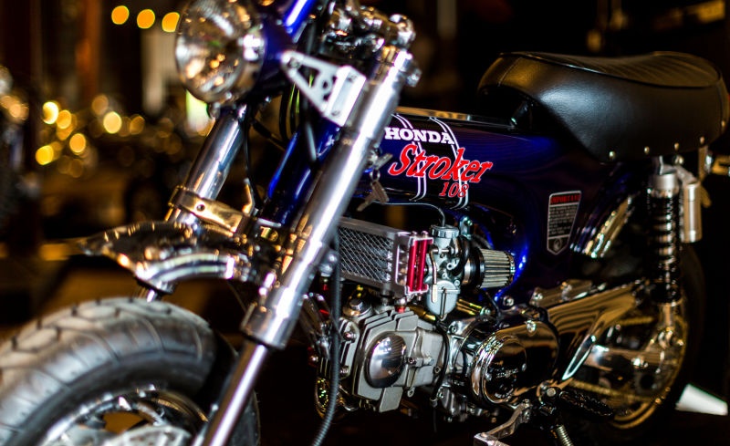 Xuong mo to do Revival Cycles anh 5