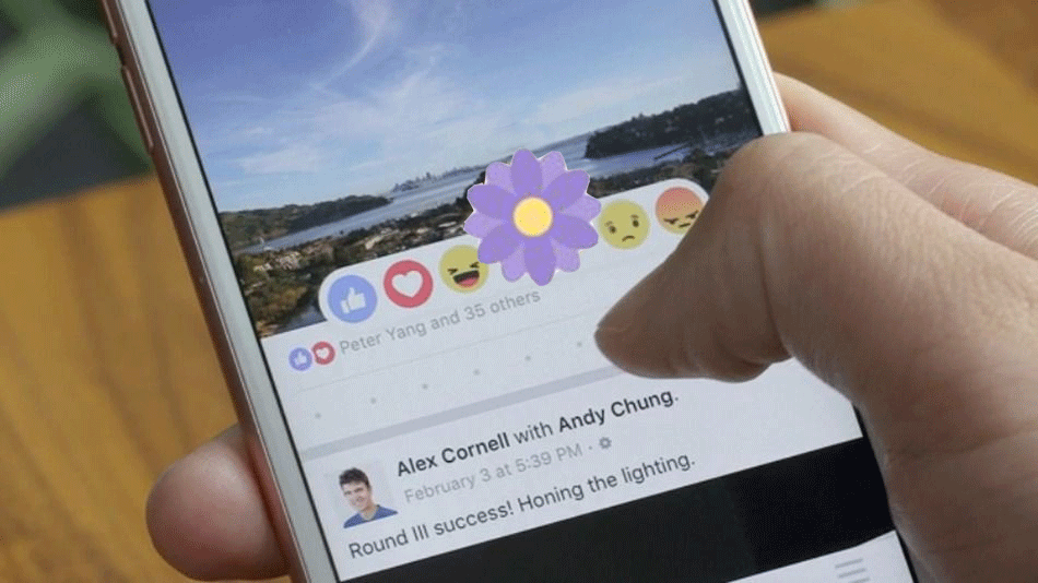 Facebook them nut 'Biet on' chao mung Ngay cua me hinh anh