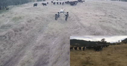 Robot co kha nang chan bo hinh anh