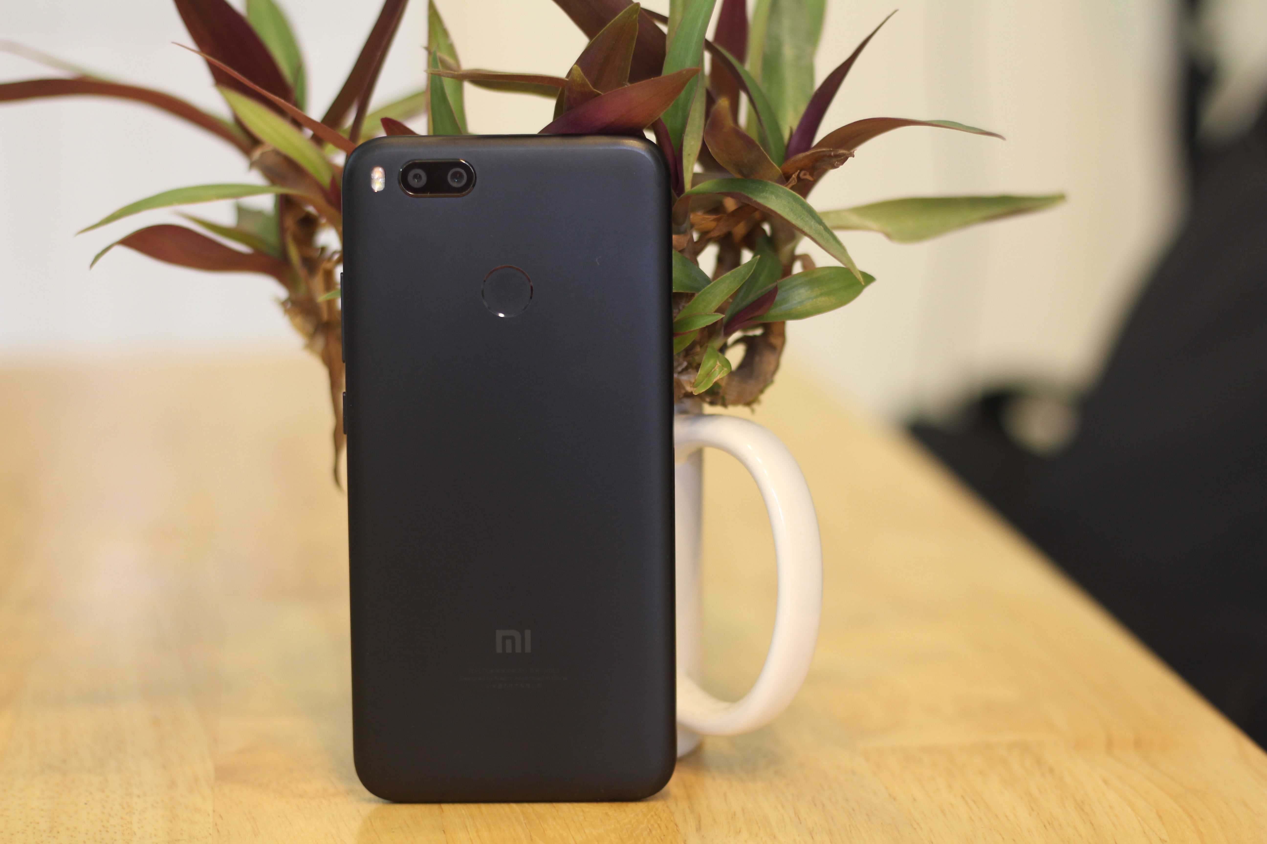 Hinh anh Xiaomi Mi 5x dau tien tai Viet Nam anh 2