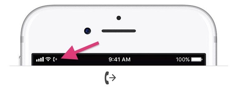 10 bieu tuong dac biet tren iOS anh 2